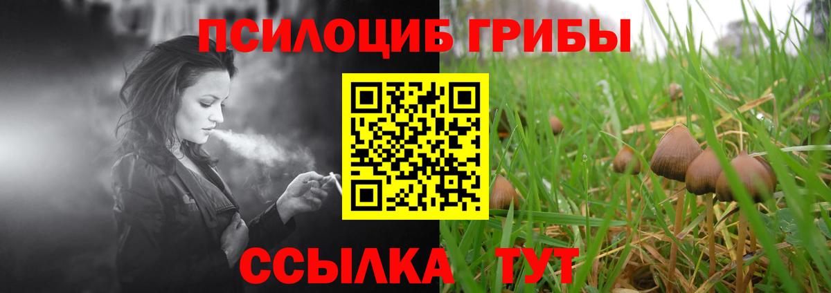 Рязань  Псилоцибиновые грибы Psilocybine cubensis  где купить   Вход с VPN 